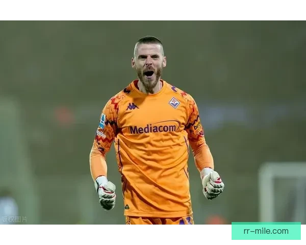德赫亚以自由身加盟佛罗伦萨开启新篇章 期待为意甲带来精彩表现